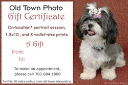 Gift Certificate Photography